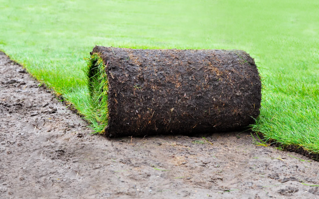 Sod installation Lebanon TN
