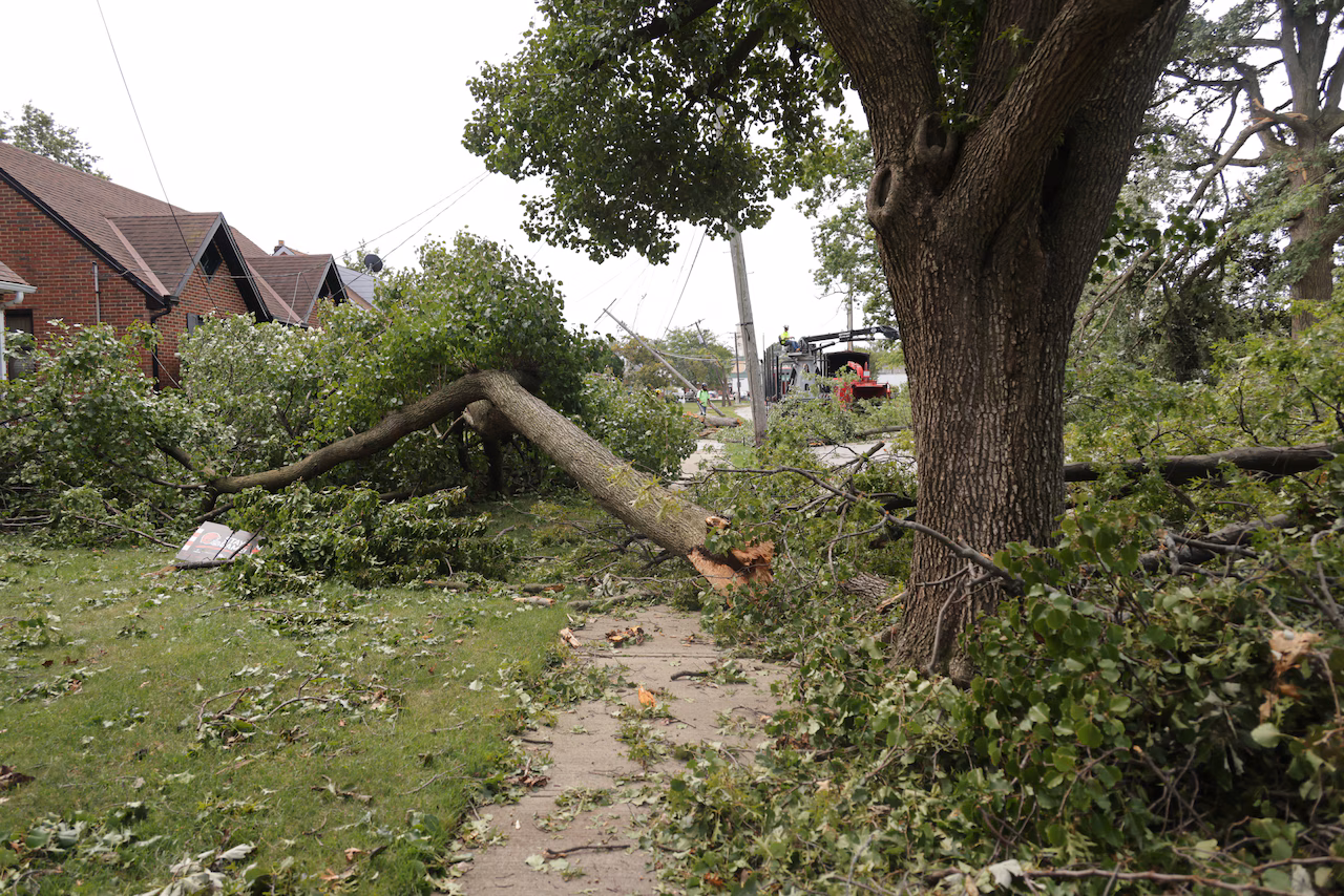 storm damage tree clean up lebanon tn