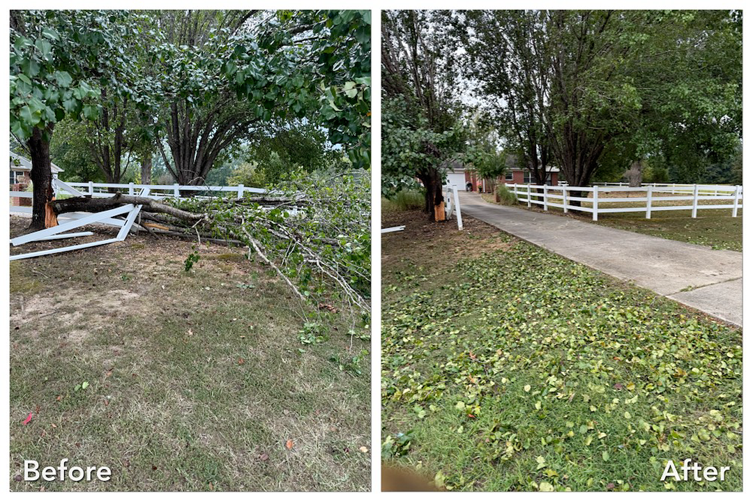 tree service lebanon tn