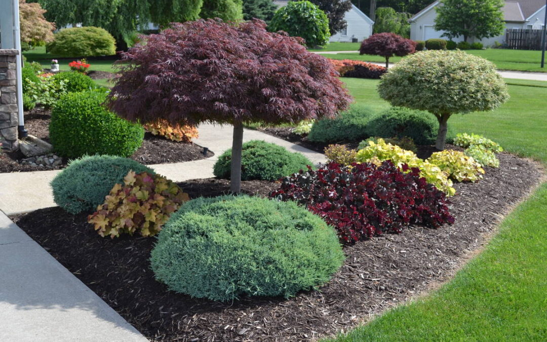 Fall Landscaping Carthage, TN