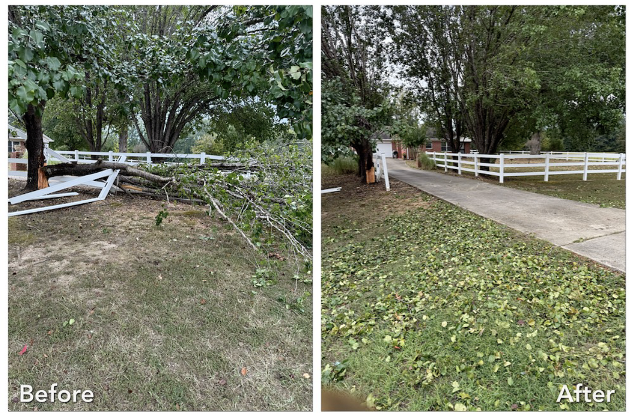 Tree Service Carthage, TN