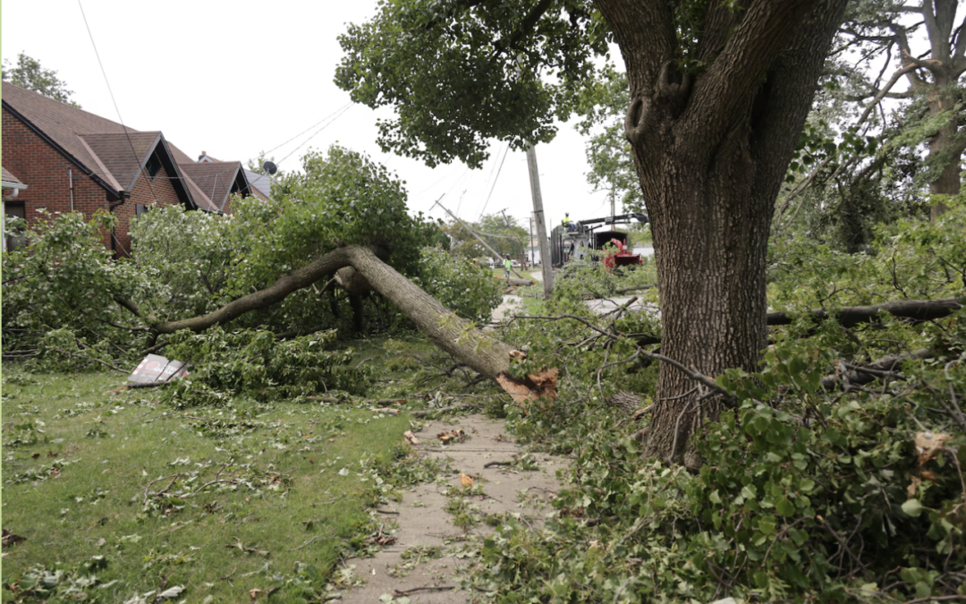 Storm Damage Clean-up Carthage, TN