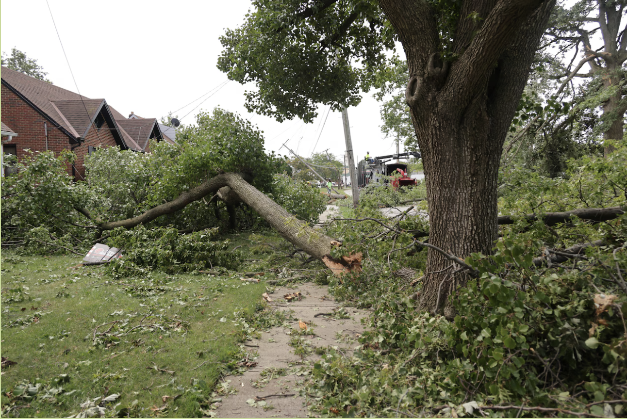 storm clean-up Carthage, TN