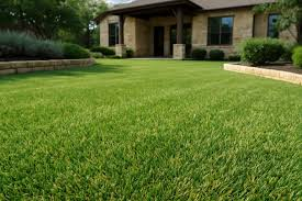 Lawn Care Carthage, TN