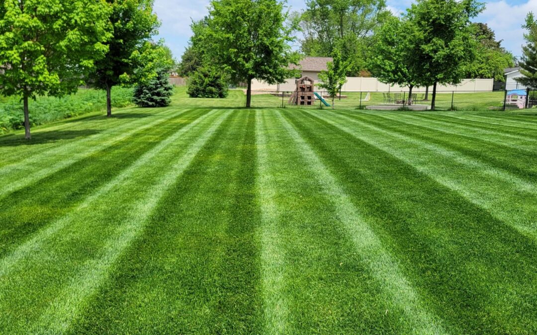 Best Lawn Care Companies Carthage, TN