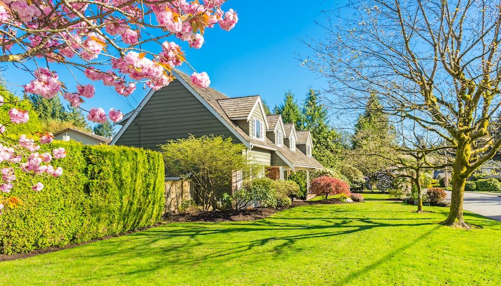 Landscaping Companies Carthage, TN