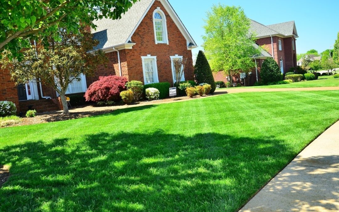 Landscaping Lebanon, TN